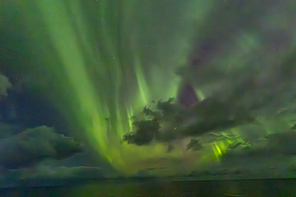 IMG_0812-2-Verbessert-RR